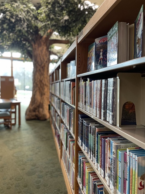 Childrens Dept Shelves