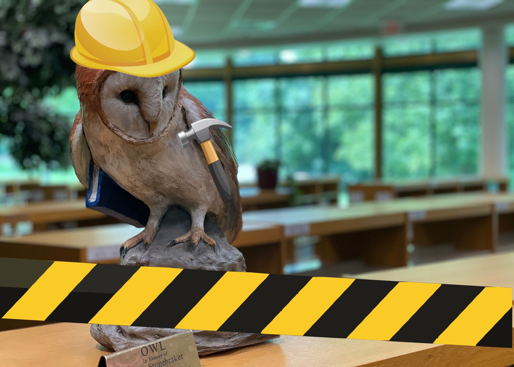 Construction Owl