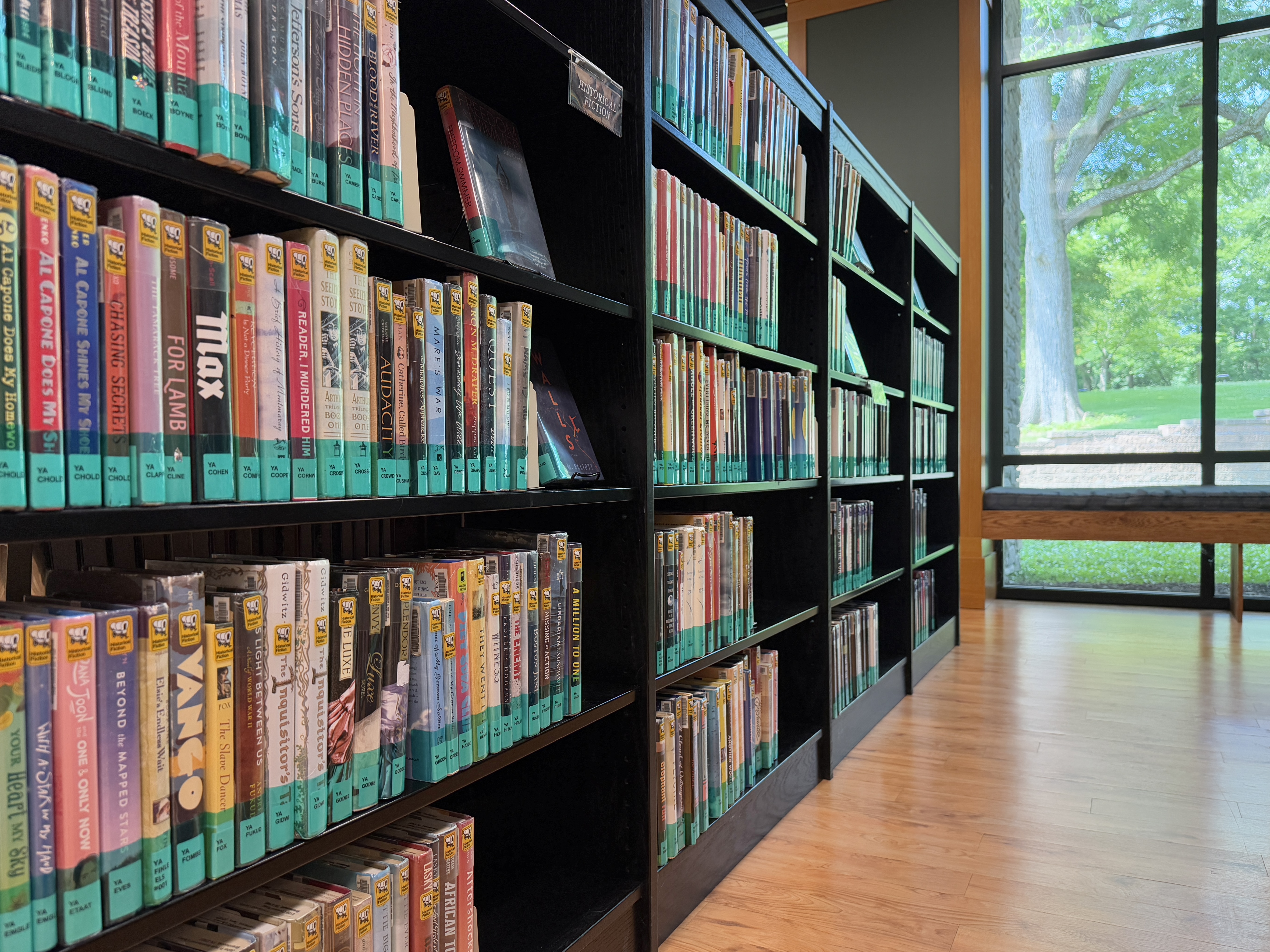 Teen Shelves