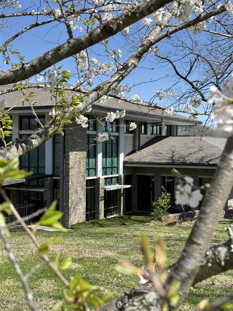 Back of library