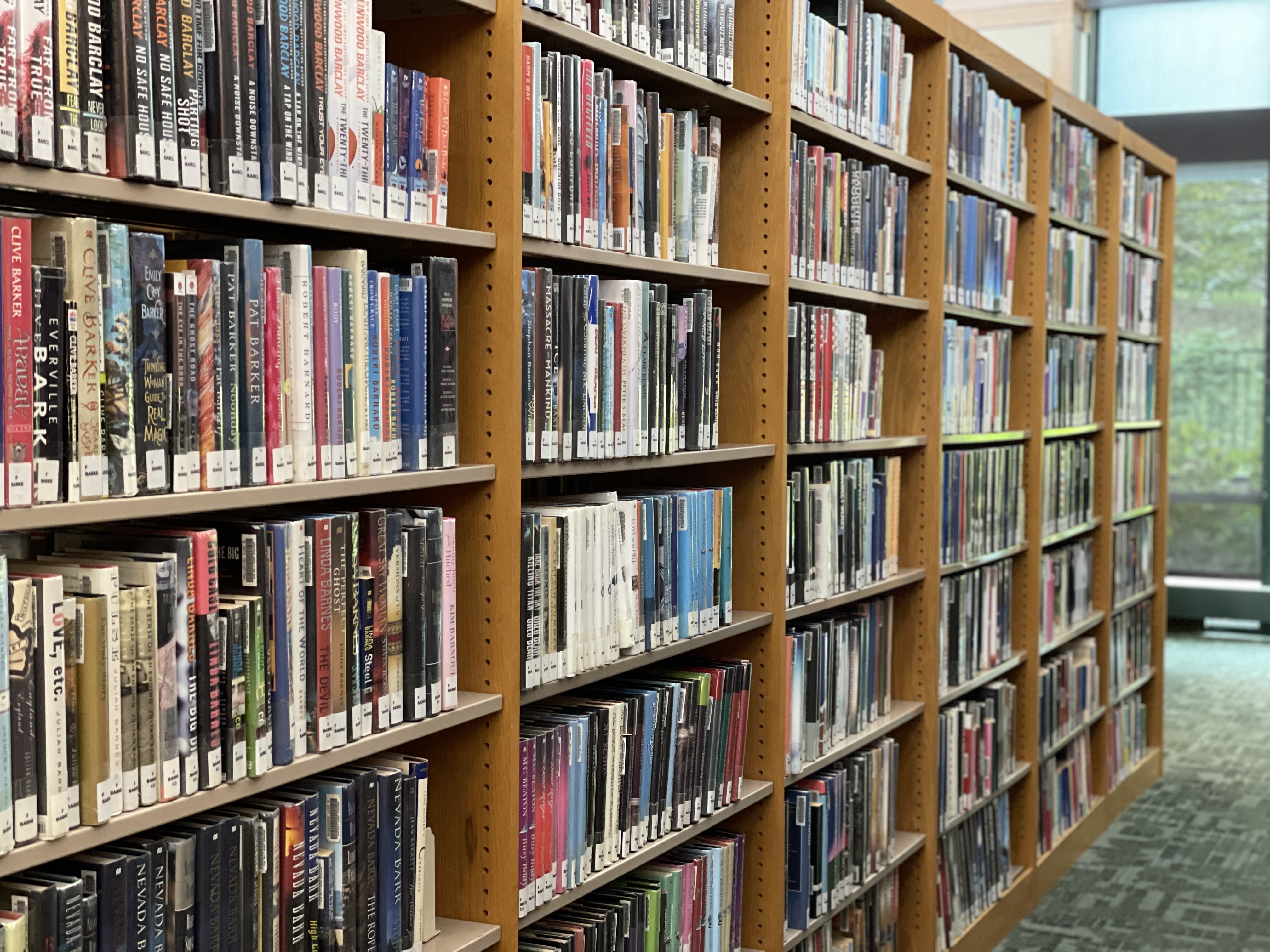 Shelves.jpg